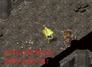 ��ο��贫��˽��������Щ�ؼ����裿
