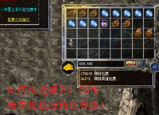 如何快速提升1.76传奇单机私服角色等级? 如何快速提升1.76传奇单机私服角色等级?