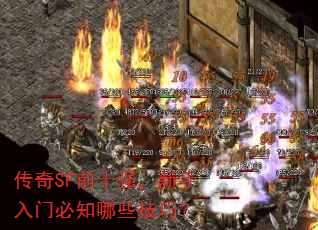 传奇SF前十强,新手入门必知哪些技巧? 传奇SF前十强,新手入门必知哪些技巧?