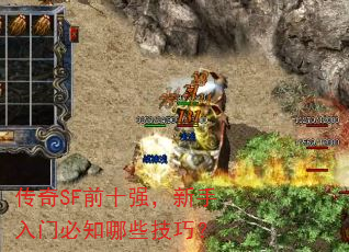 ����SFǰʮǿ���������ű�֪��Щ���ɣ�