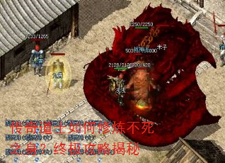 传奇道士如何修炼不死之身?终极攻略揭秘 传奇道士如何修炼不死之身?终极攻略揭秘