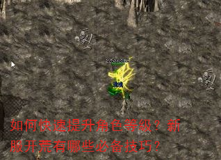如何快速提升角色等级?新服开荒有哪些必备技巧? 如何快速提升角色等级?新服开荒有哪些必备技巧?
