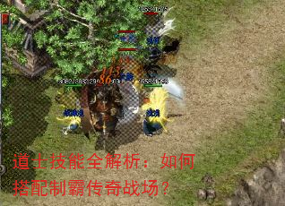 道士技能全解析:如何搭配制霸传奇战场? 道士技能全解析:如何搭配制霸传奇战场?