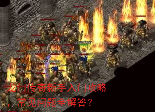 龙门传奇新手入门攻略,常见问题全解答? 龙门传奇新手入门攻略,常见问题全解答?